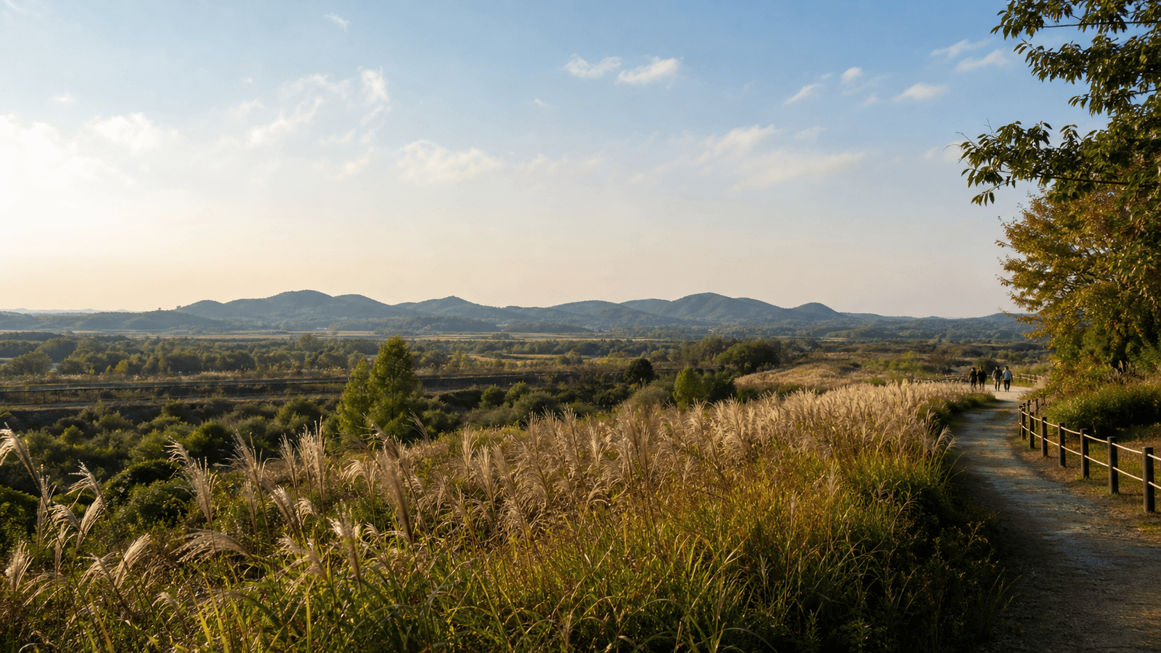 DMZ Peace Festa 2026: Dates, Places and How to Plan a Visit from Seoul