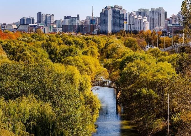 Autumn wetland scenery at Yeouido Saetgang Ecological Park